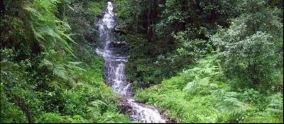 Stutterheim, Amatola- Eastern Cape