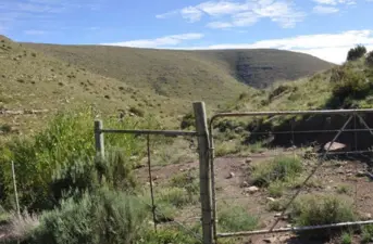 Tarkastad, Eastern Cape