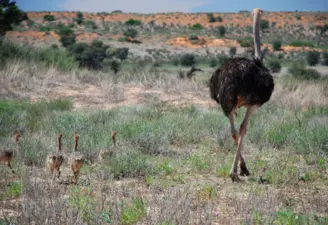 Touring the Northern Cape