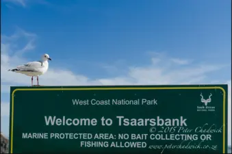 Tsaarsbank Beach, West Coast