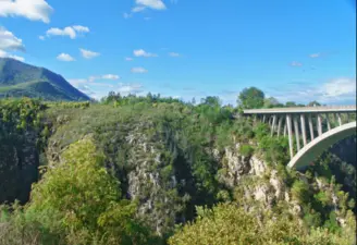 Tsitsikamma National Park, Eastern Cape