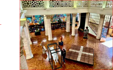 University of Pretoria Museums 