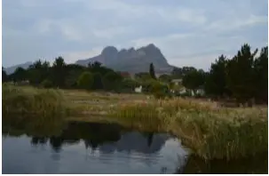 Vredenhof Organic Farm, Somerset West