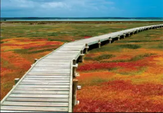 West Coast National Park, Saldanha Bay