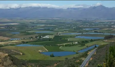Agterwitsenbergkom a Mountain Region in the Route 62, Cape Winelands