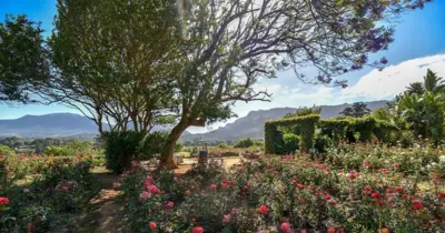 Wynberg, Southern Suburbs