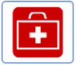 Grade 6 - Term 4: Medicine through time