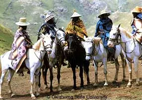 The Basotho