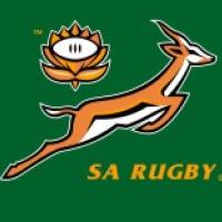 Springboks lose to the Lions | South African History Online