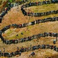 1994 election queue