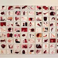 90 works from the “Shame Series,” 2002-2005 by Penny Siopis