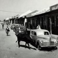 Black African migrants were forced to live in townships