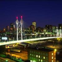 Nelson Mandela Bridge, 2010