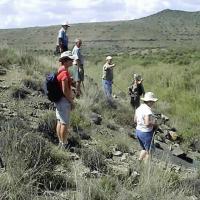 https://www.graaffreniet.co.za/route/palaeontology_route