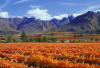 https://www.sa-venues.com/attractionswc/gallery/breederivervalley/8.jpg