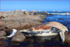 https://dynamic-media-cdn.tripadvisor.com/media/photo-o/2b/82/80/73/caption.jpg?w=1000&h=-1&s=1