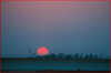 https://www.botswana.co.za/images/makgadikgadi-sunset-ian-michler-590x390.jpg